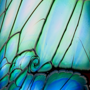 TRIANGLE “LAGO” 61 CM