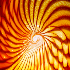 CENTER-PIECE “HUMIR” 50 CM