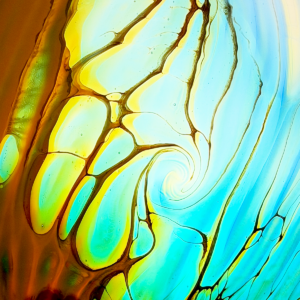 MINI COLLECTION 36 CM