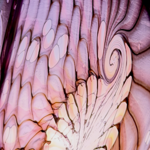 MINI COLLECTION 36 CM