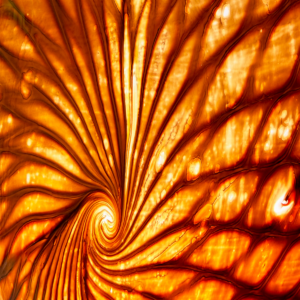 CENTER-PIECE “KRONOR” 55 CM